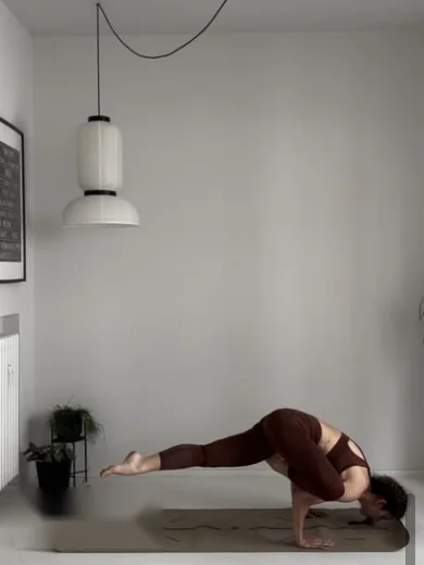 Eka Pada Kouṇḍinyāsana